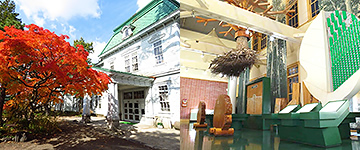 Городской лесной музей Аомори