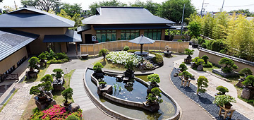 The Omiya Bonsai Art Museum, Saitama