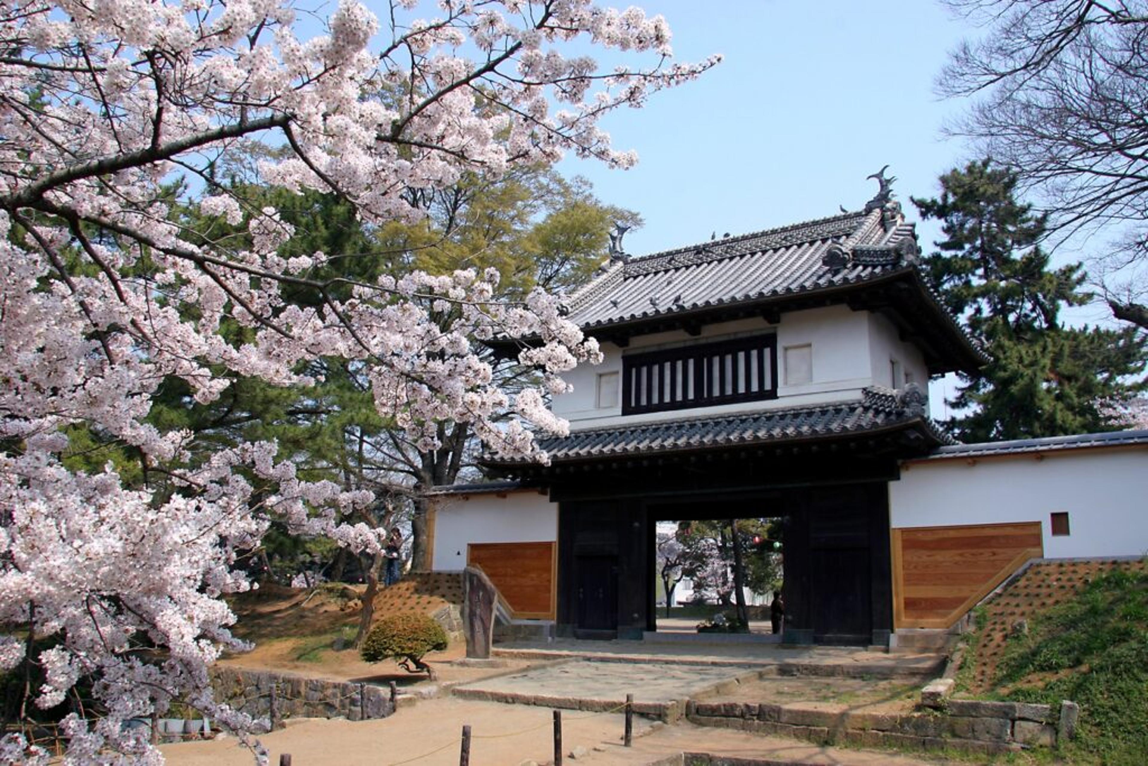 亀城公園でリフレッシュ！